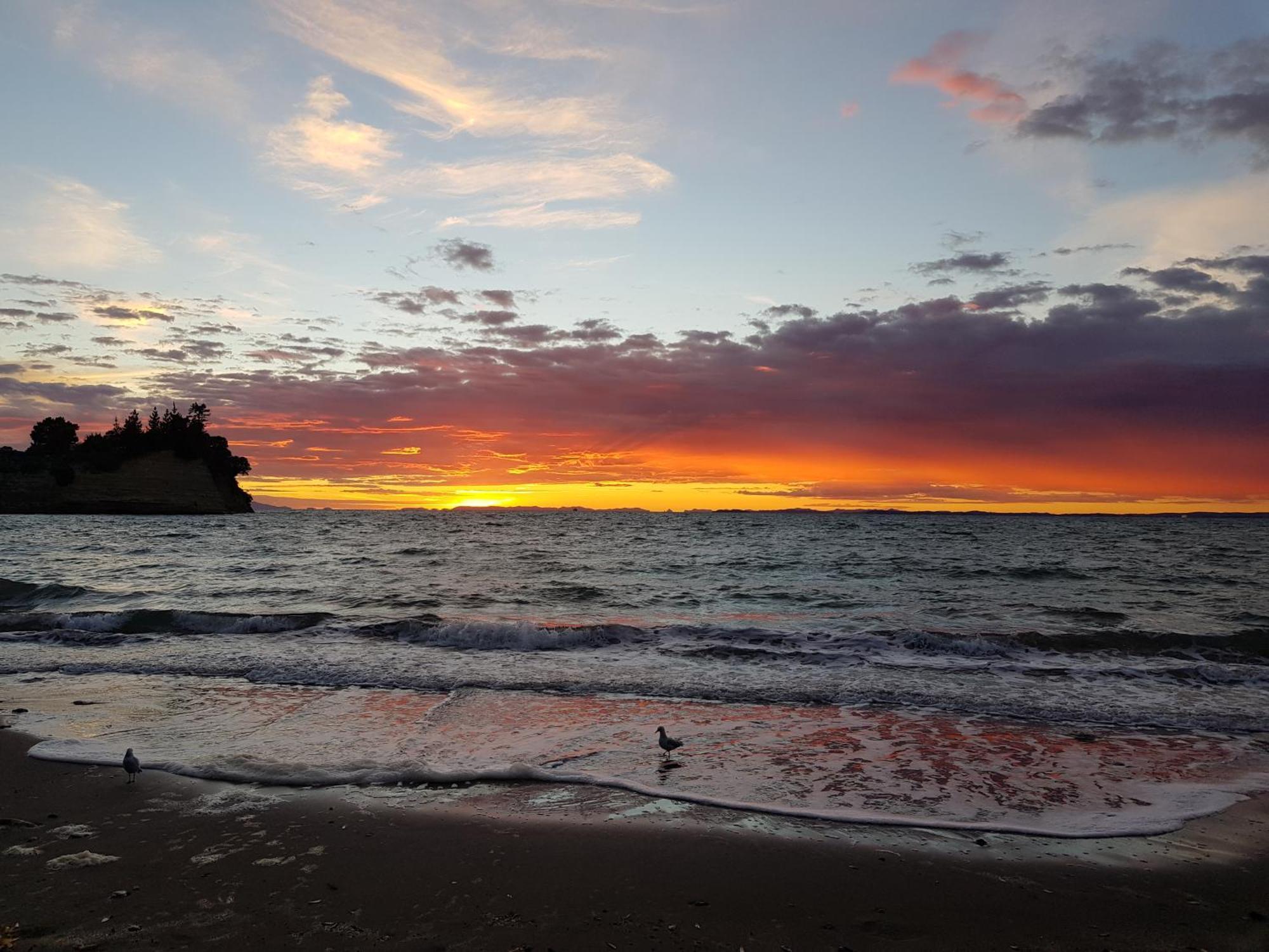 Whangaparaoa Lodge Bagian luar foto