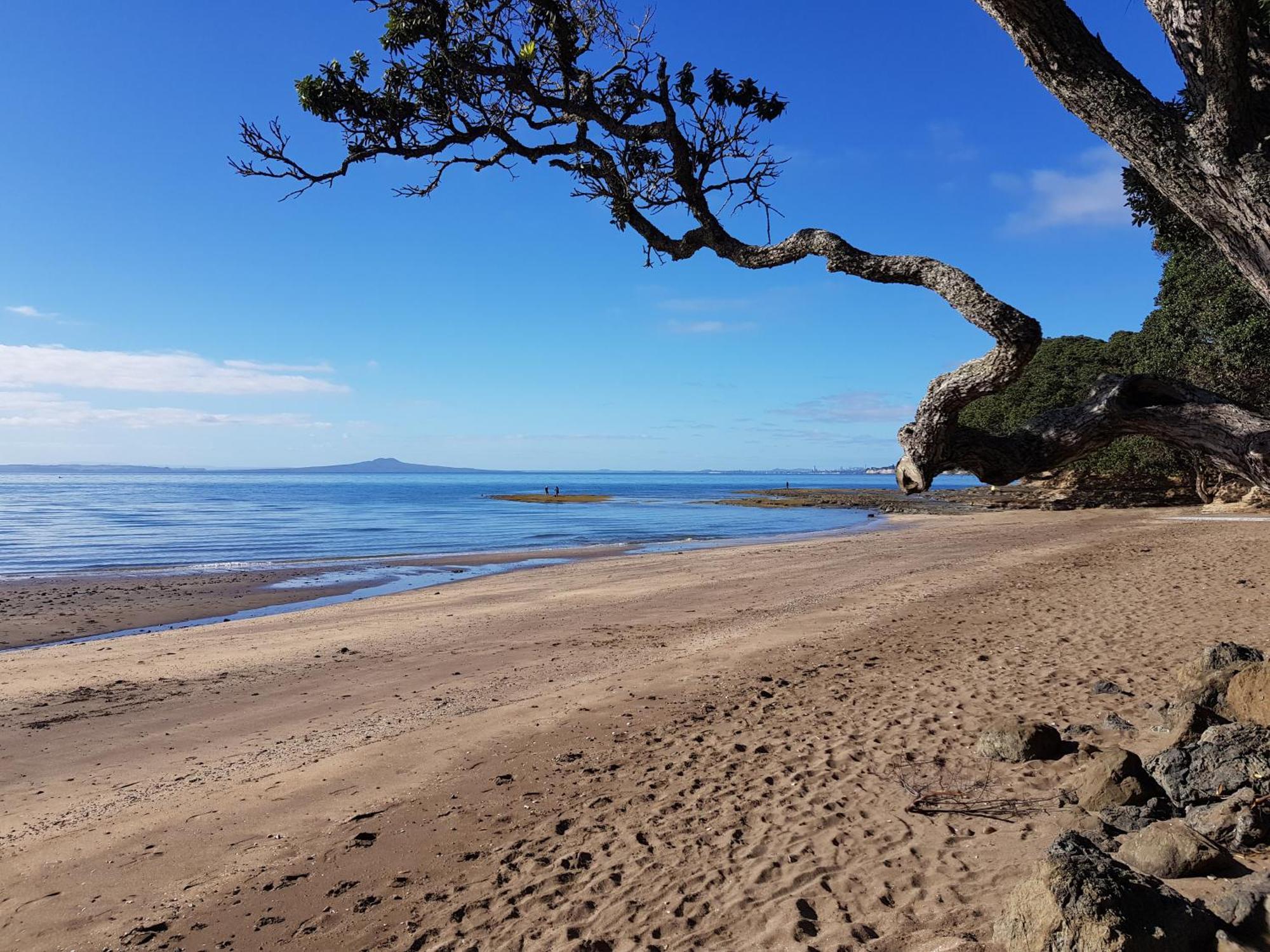 Whangaparaoa Lodge Bagian luar foto